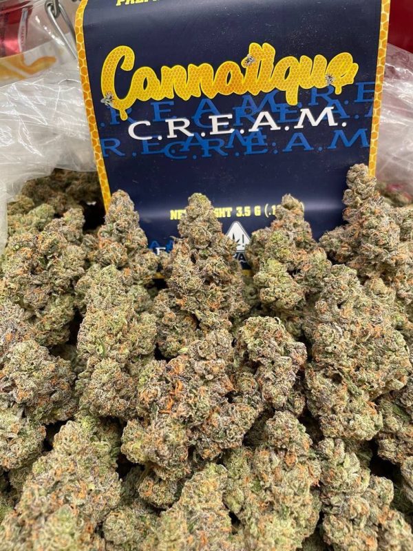 cannatique strain
