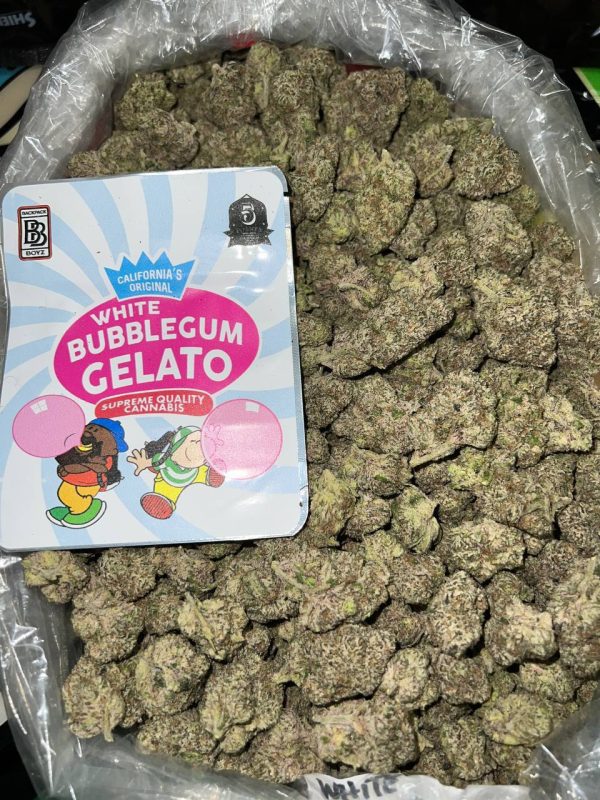 white bubblegum gelato strain