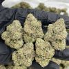 white mochi strain