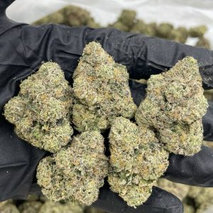 white mochi strain