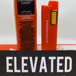 sherbinskis disposable