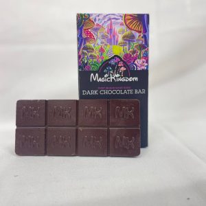 magic kingdom chocolate bar