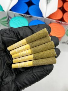 stiiizy pre rolls, stiiizy pre roll, stiiizy 40s pre roll, stiiizy pre rolls review, stiiizy 40's pre roll price, stiiizy infused pre rolls, stiiizy 40s pre roll review, stiiizy pre rolls 6 pack price, stiiizy pre rolls price, stiiizy blunt pre roll, stiiizy pre rolls near me, stiiizy 40s pre roll price, stiiizy blue burst pre roll, stiiizy blue dream pre roll, stiiizy pre rolls 40s, are stiiizy pre rolls good, stiiizy 40's infused pre-rolls, stiiizy 40's pre roll review, stiiizy pre roll 5 pack, stiiizy pre roll blunt, pre roll stiiizy, pre rolls stiiizy, stiiizy 40 pre rolls, stiiizy hemp infused pre rolls, stiiizy indica pre rolls, stiiizy 40 pre roll