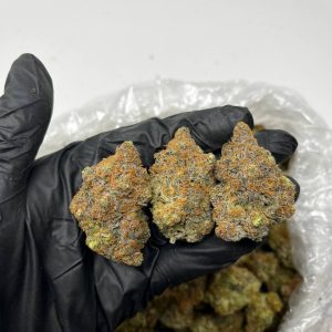 london pound cake strain