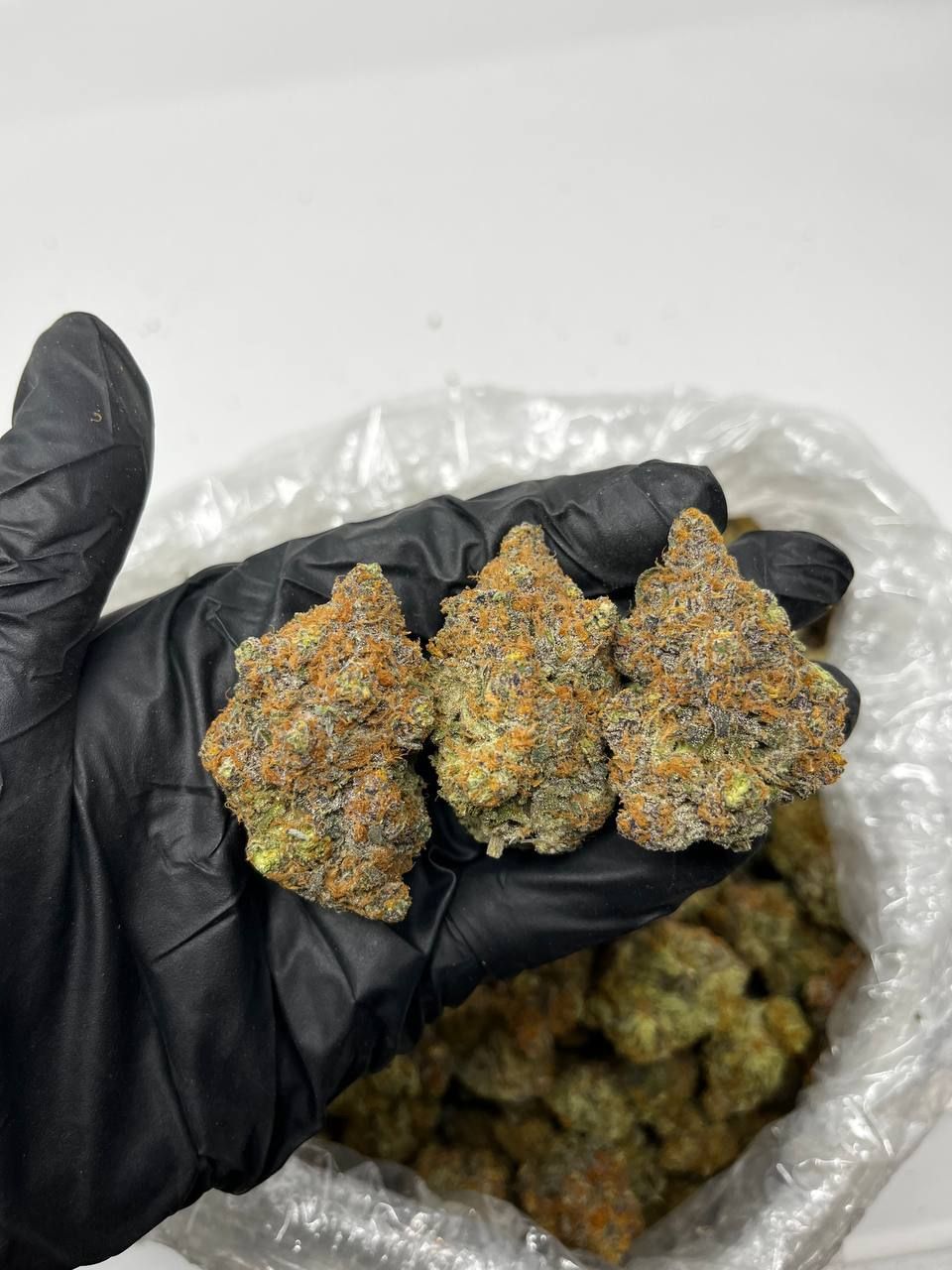 london pound cake strain london pound cake strain