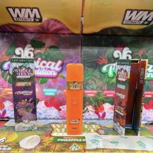 whole melts disposable