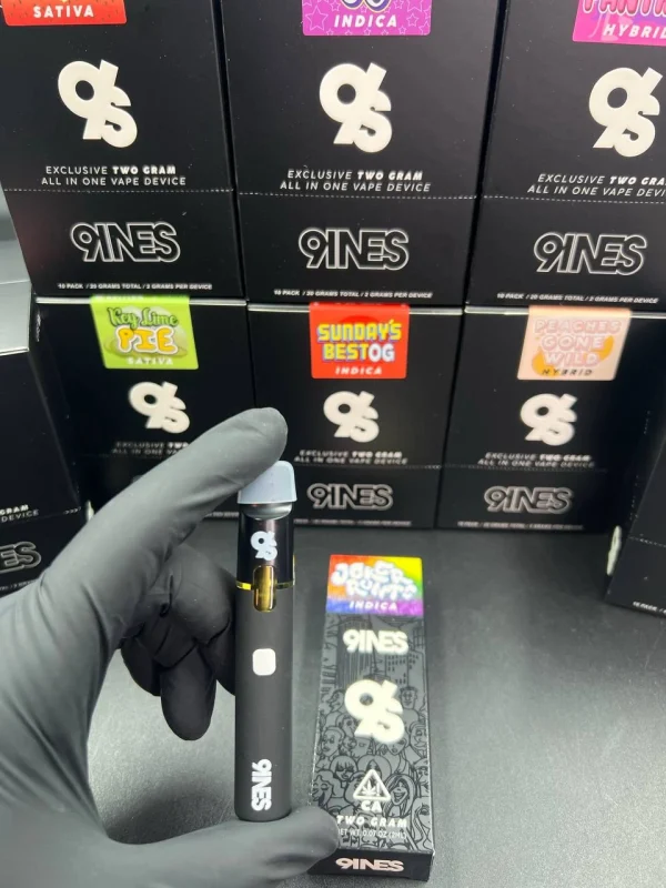 9ines disposable