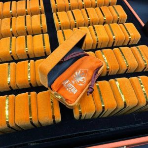 ace ultra premium disposable
