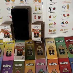 plume dual disposable